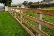 6 inch D Rail